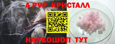 индика Будённовск