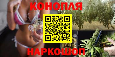 индика Будённовск