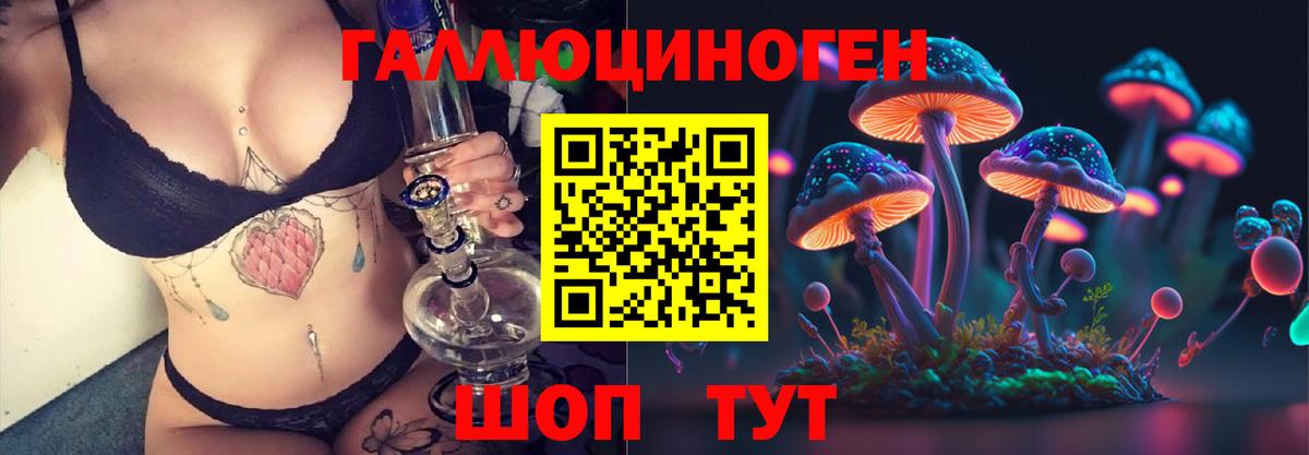 Северобайкальск  Галлюциногенные грибы GOLDEN TEACHER  Вход с VPN 